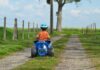 un enfant sur son mini quad