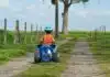 un enfant sur son mini quad