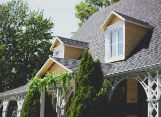 Assurance logement étudiant : les garanties offertes par Credit Agricole vines on tree