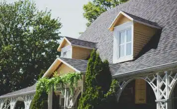 Assurance logement étudiant : les garanties offertes par Credit Agricole vines on tree